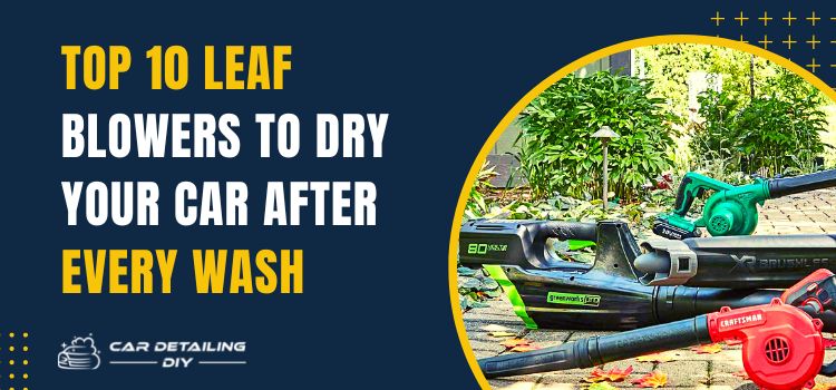 Best Leaf Blower to Dry Cars