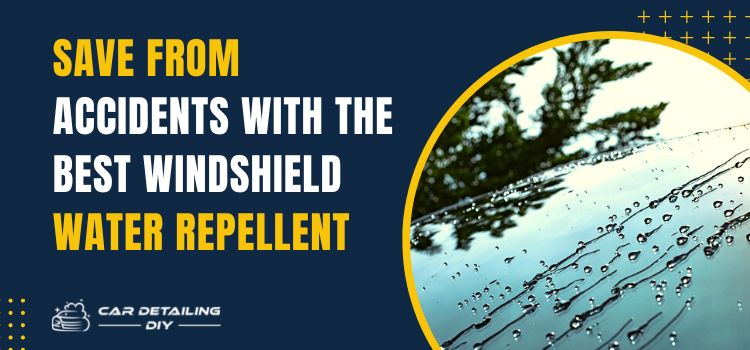 best windshield water repellent