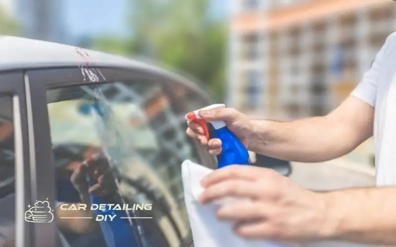 How To Remove Bird Poop Stain On Car Paint?